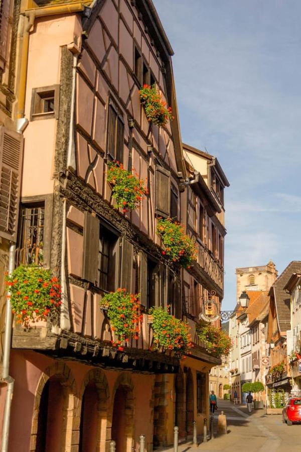 Charmant Appartement Alsacien Ribeauville  Exterior photo